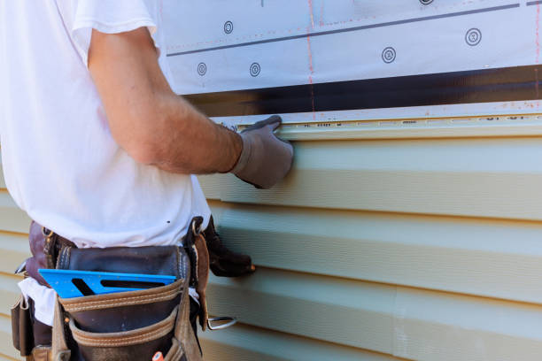 Best Steel Siding Installation  in Clementon, NJ